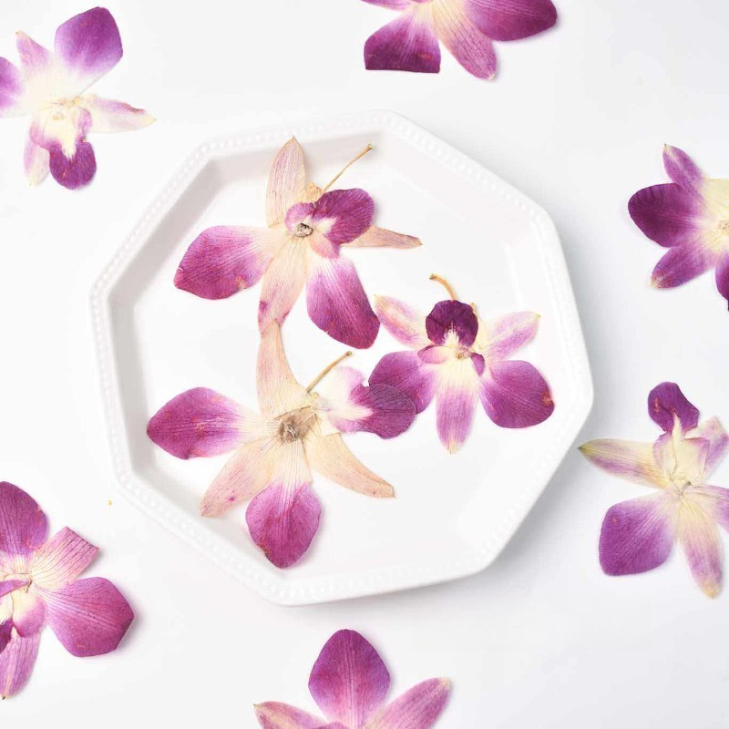 4pcs,Real Pressed Butterfly Or – обзор и цена Art And Craft Photos