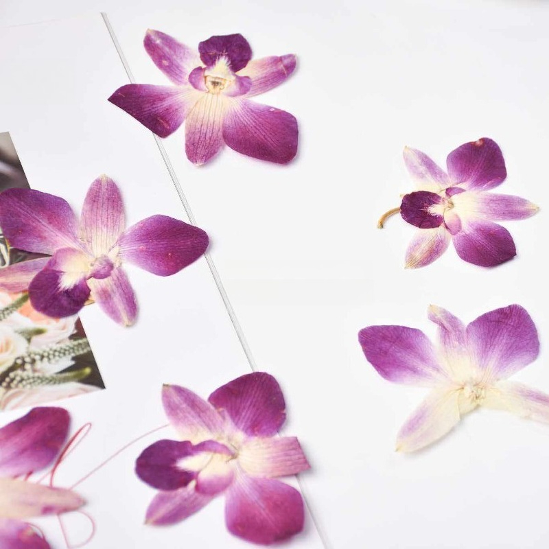 4pcs,Real Pressed Butterfly Or – обзор и цена Art And Craft Photos