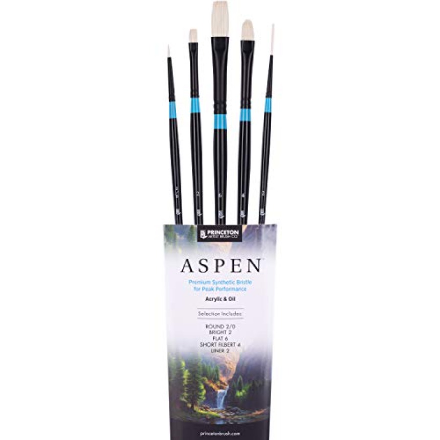 Aspen 6500 Series 5pc Professi – обзор и цена Gouache Paint Set