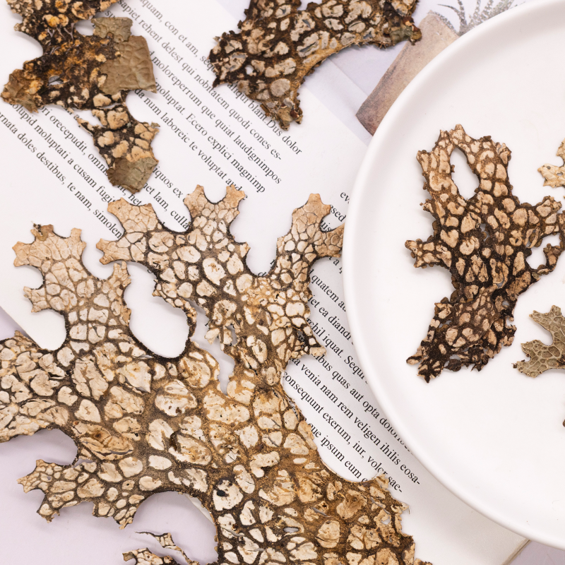 4pcs,Rare Bark Natural Pressed – обзор и цена Art And Craft Photos