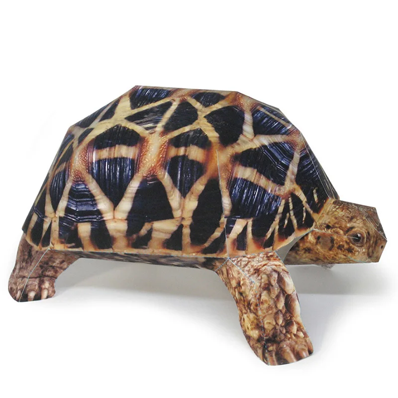 Indian Star Tortoise Paper Mod – обзор и цена Art Craft With Cardboard