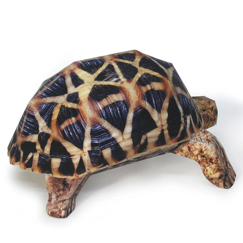 Indian Star Tortoise Paper Mod – обзор и цена Art Craft With Cardboard