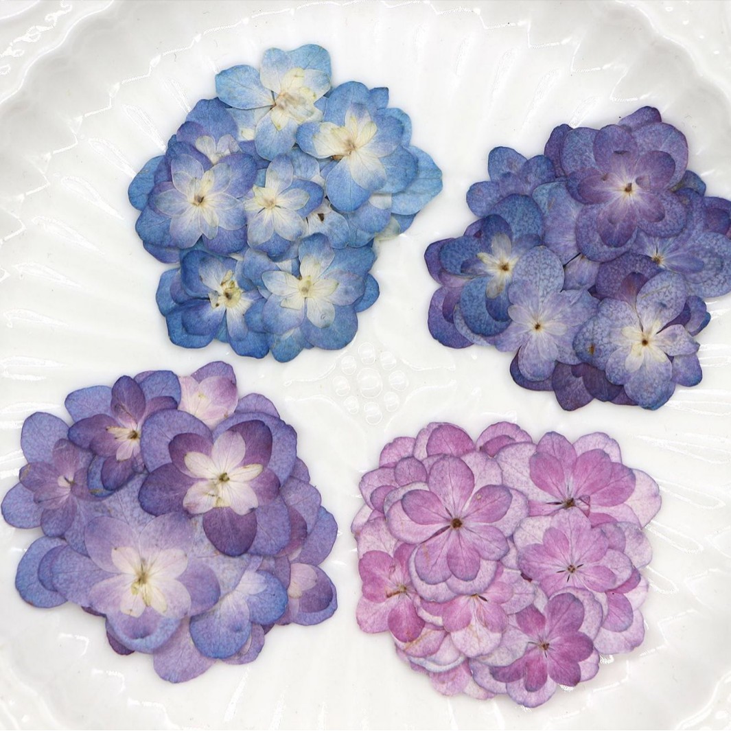 60Pcs Mini Double-Flowered Hyd – обзор и цена Art And Craft Photos