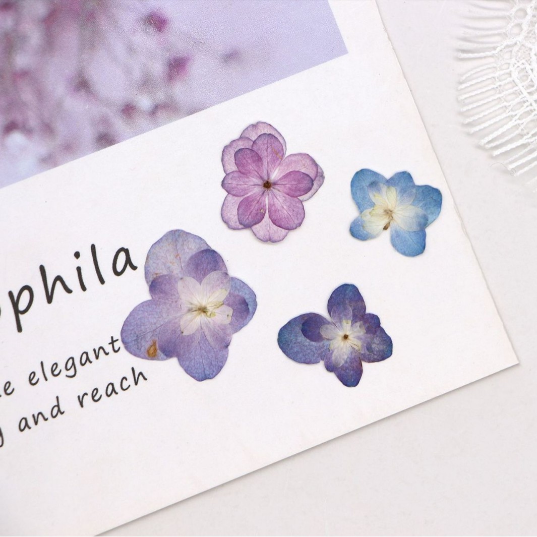 60Pcs Mini Double-Flowered Hyd – обзор и цена Art And Craft Photos