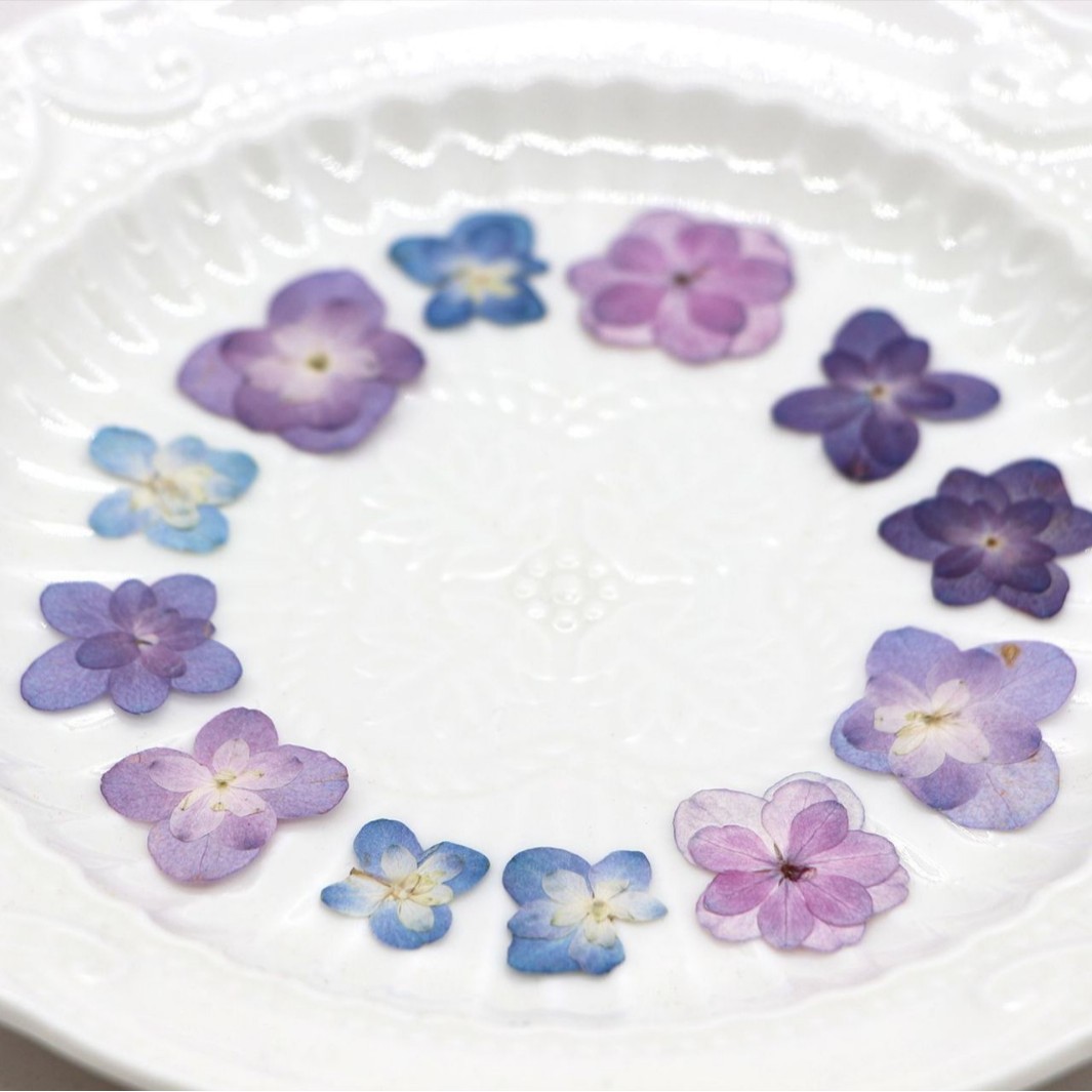 60Pcs Mini Double-Flowered Hyd – обзор и цена Art And Craft Photos