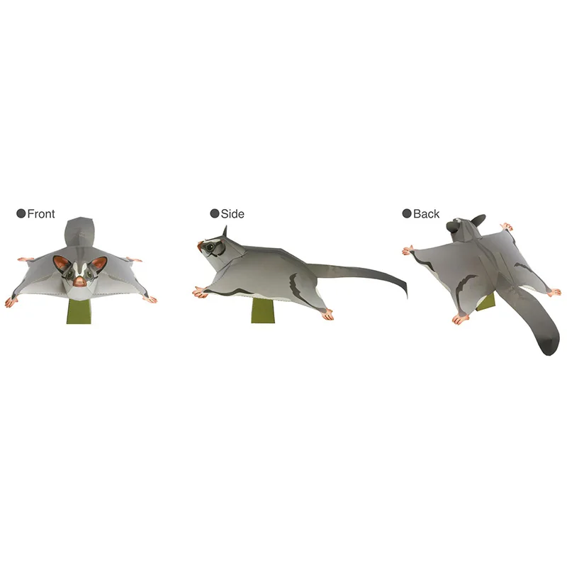 Sugar Glider Flying Mouse Hand – обзор и цена Art Craft With Cardboard