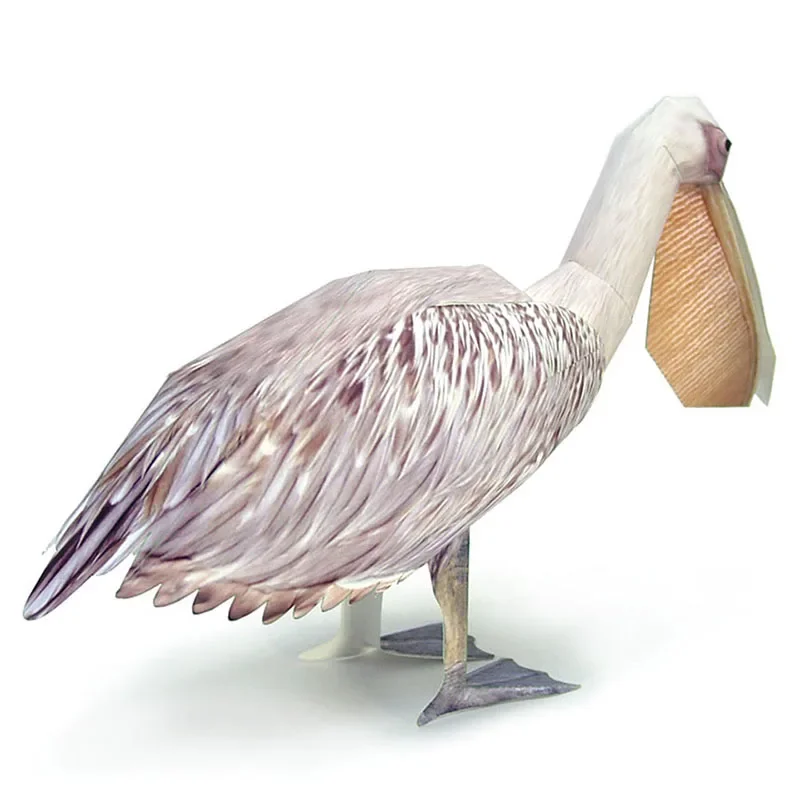 Great White Pelican Bird Paper – обзор и цена Art Craft With Cardboard